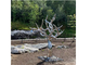 Outdoor Design Abstract Metal Mirror Stainless Steel Tree Sculpture