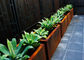 কাস্টমাইজড স্কয়ার মেটাল Planters বহিরঙ্গন Corten একটি উপাদান 50 সেমি উচ্চতা সরবরাহকারী