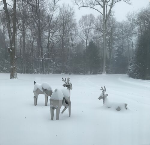 সর্বশেষ কোম্পানি ব্লগ সম্পর্কে ক্রিস্টালিন হার্ডঃ যেখানে প্রকৃতি জ্যামিতির সাথে মিলিত হয়