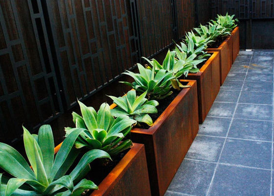 ভালো দাম কাস্টমাইজড স্কয়ার মেটাল Planters বহিরঙ্গন Corten একটি উপাদান 50 সেমি উচ্চতা অনলাইন